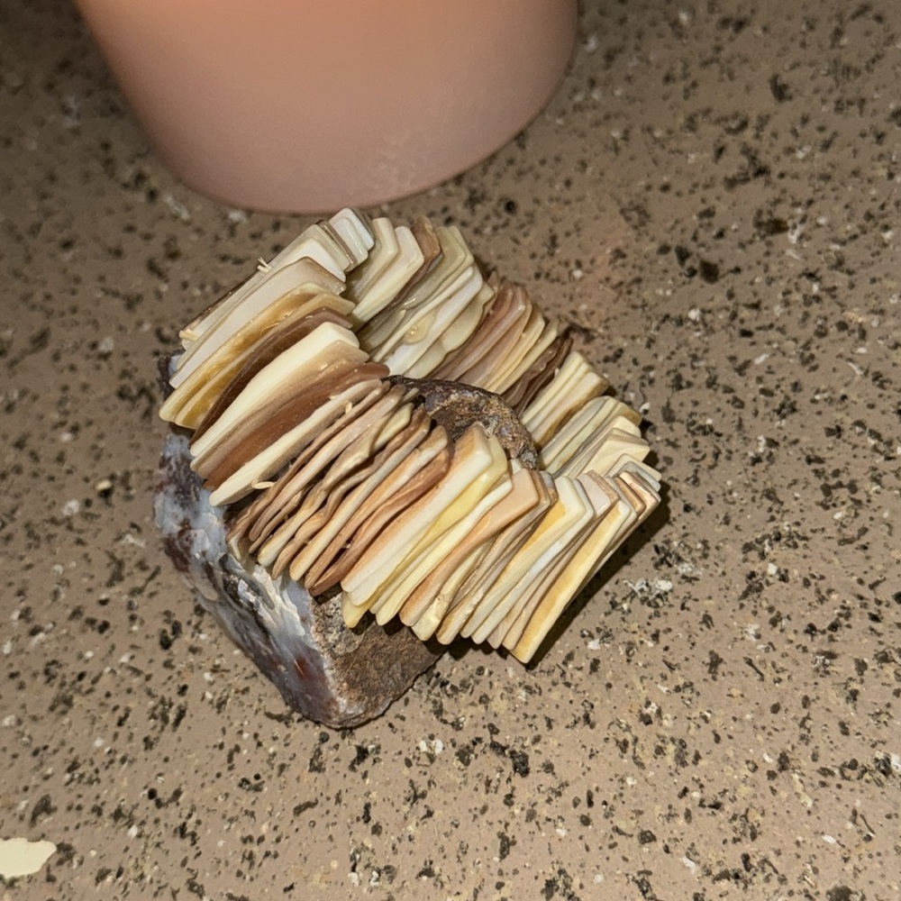Elastic Shell Bracelet - Picture 3 of 4